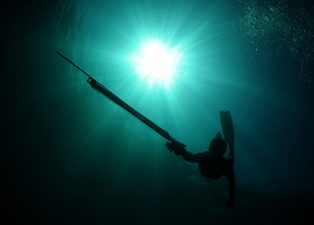 Best Places To Spearfish In Florida