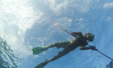 The Top Pole Spears for Spearfishing [6 of the best – Plus Something Special – Updated]