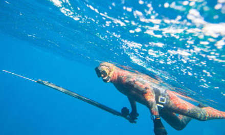 How To Choose The Best Spearfishing Wetsuit: With Top Recommendations