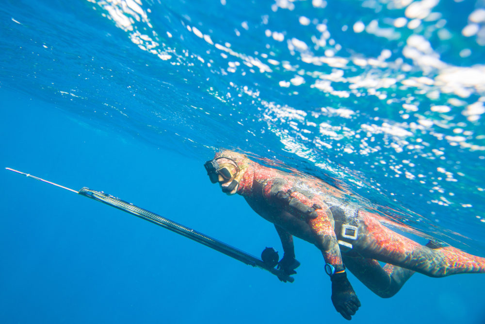 Spearfishing in the waters of Panama