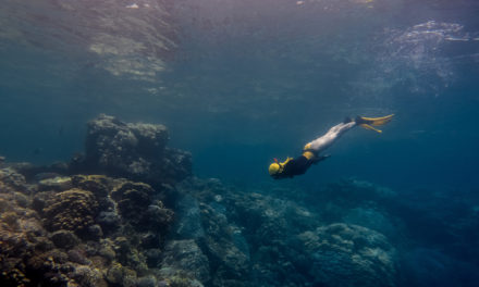 How To Hold Your Breath Longer While Spearfishing