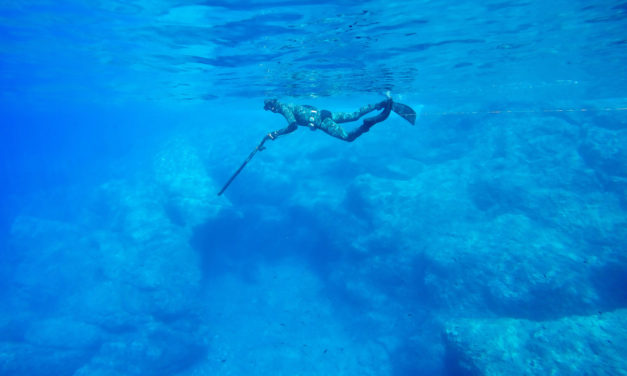 Shallow Water Spearfishing Tips: 10 Things to Know