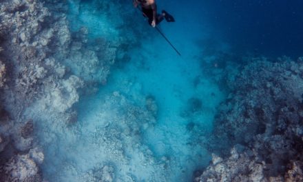 5 Things to Know About Spearfishing From a Kayak