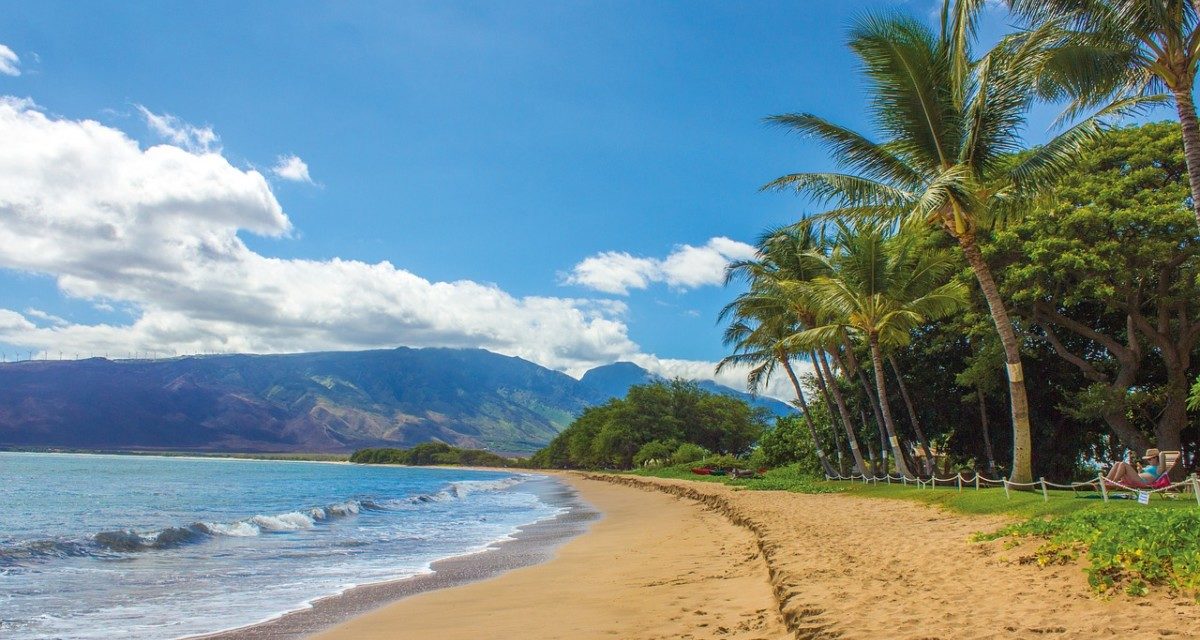 The Ultimate Guide To Spearfishing In Hawaii