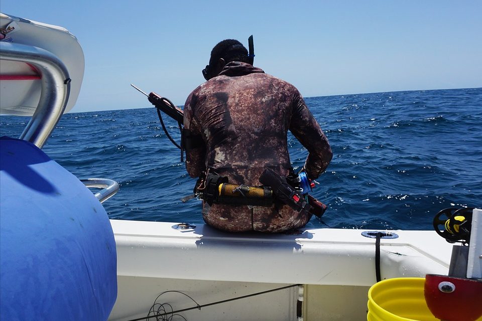 A Guide To Blue Water Spearfishing