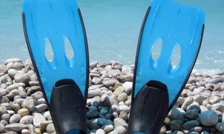 The 6 Best Freediving Fins [Freediving Fins Buying Guide]