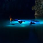 How To Spearfish at Night – A Guide For Spearos