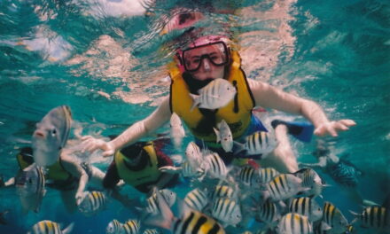 The Best Snorkeling Vests – The Ultimate Buyer’s Guide