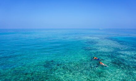 The 12 Best Snorkeling Spots In Florida – The Ultimate Guide