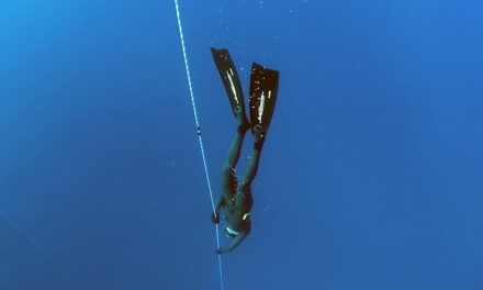 Best Freediving Computers: Reviews and Buying Guide