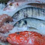 What Are The Best Tasting Saltwater Fish?