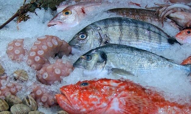 What Are The Best Tasting Saltwater Fish?