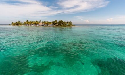Spearfishing Belize – The Ultimate Guide